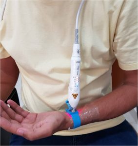 O Que é Ilib E Sua Função Centro Zenchi Medicina Integrativa E Oriental